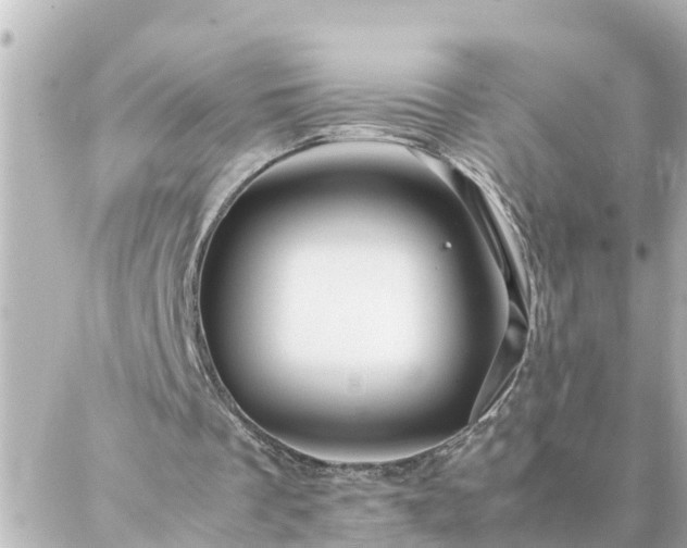 X0000086990289200704231852