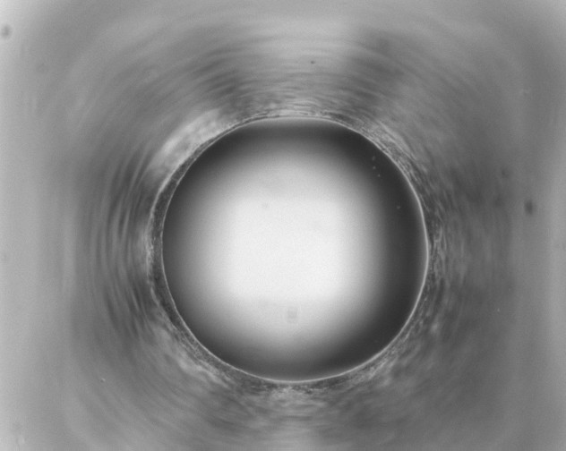 X0000086990290200704231852