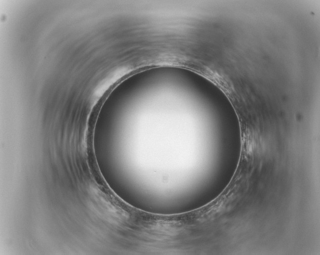 X0000086990292200704231852