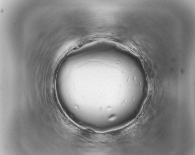 X0000086990293200704231852