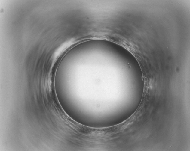 X0000086990294200704231852