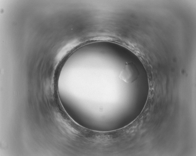 X0000086990296200704231852