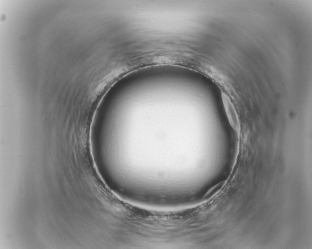 X0000086990297200704231852