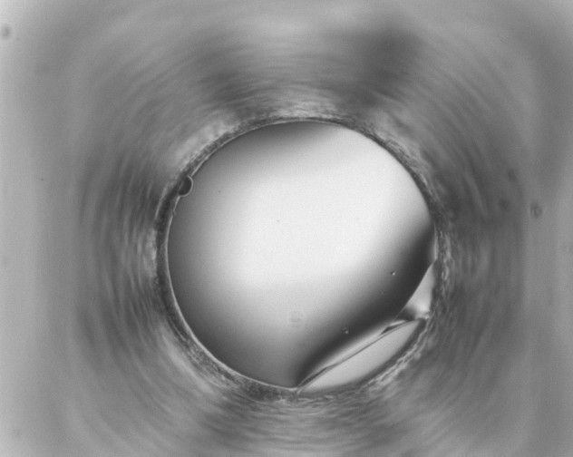 X0000086990298200704231852