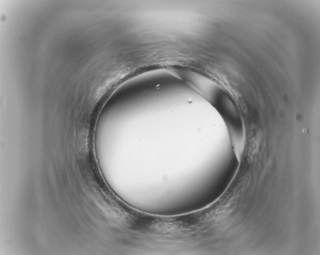 X0000086990299200704231852