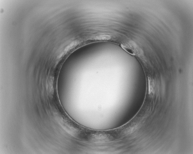 X0000086990300200704231851