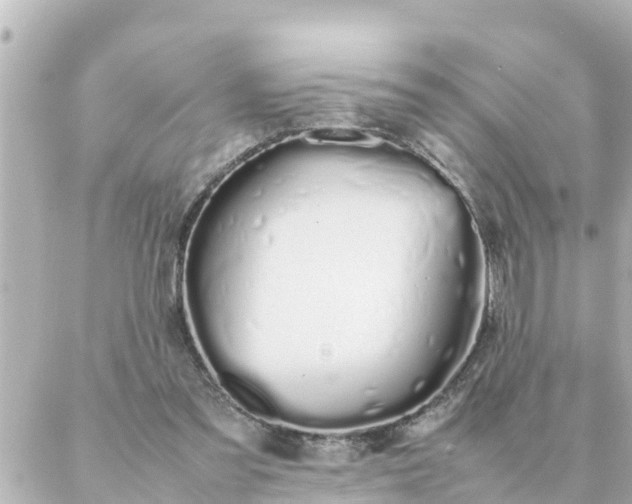 X0000086990301200704231851