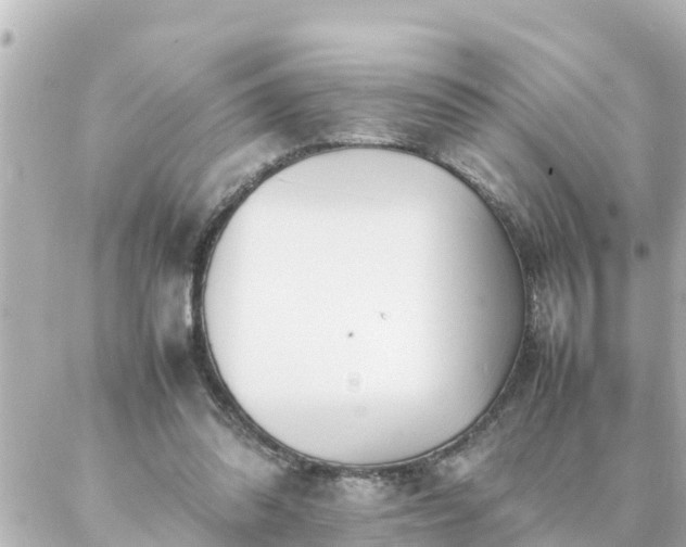 X0000086990302200704231851