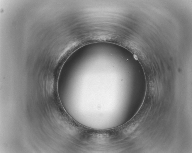 X0000086990304200704231851