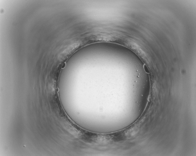 X0000086990305200704231851