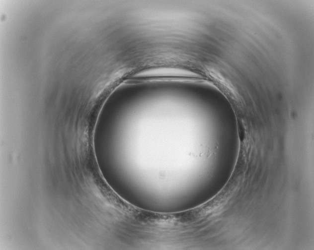 X0000086990306200704231851