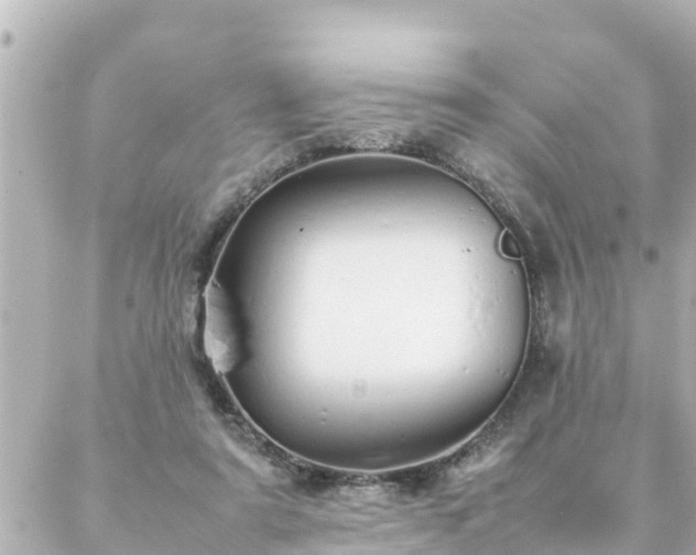 X0000086990307200704231851