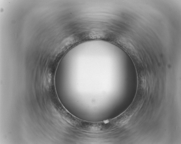 X0000086990308200704231851