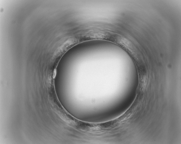 X0000086990309200704231851