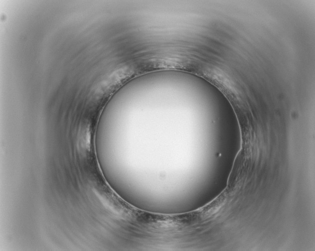 X0000086990310200704231851