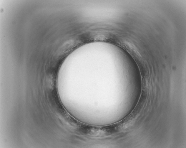 X0000086990311200704231851