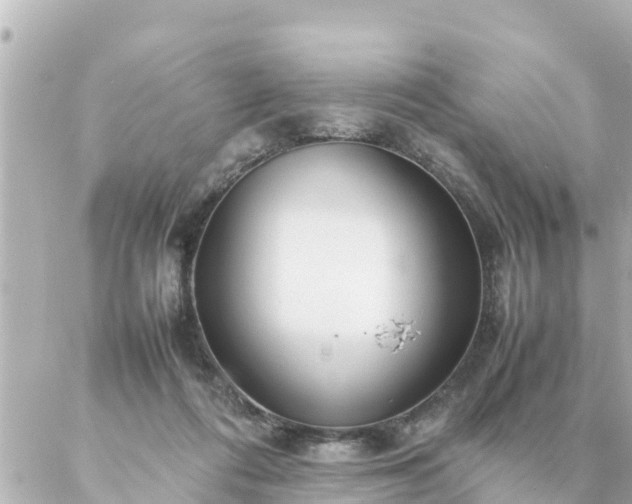 X0000086990312200704231851