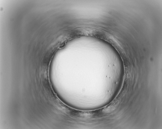 X0000086990313200704231851