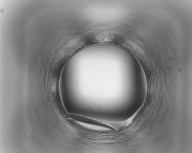 X0000086990315200704231851