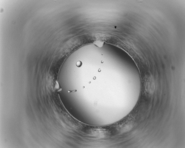 X0000086990316200704231851