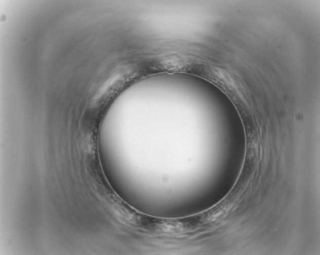 X0000086990317200704231851