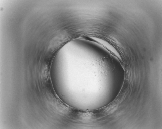 X0000086990318200704231851