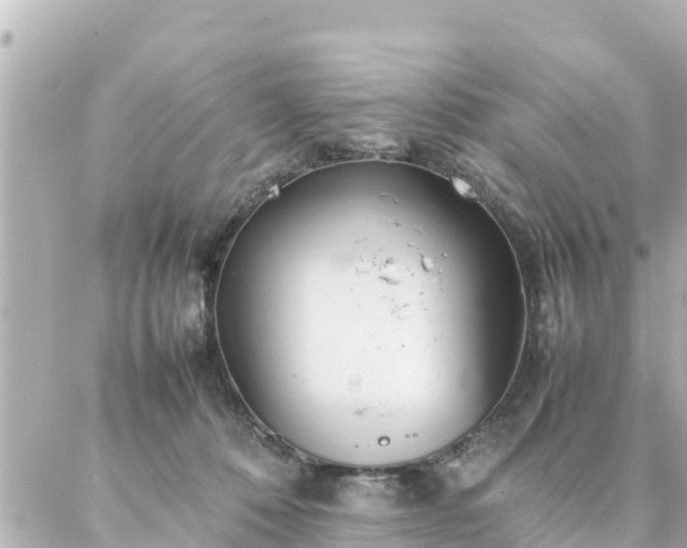 X0000086990320200704231851