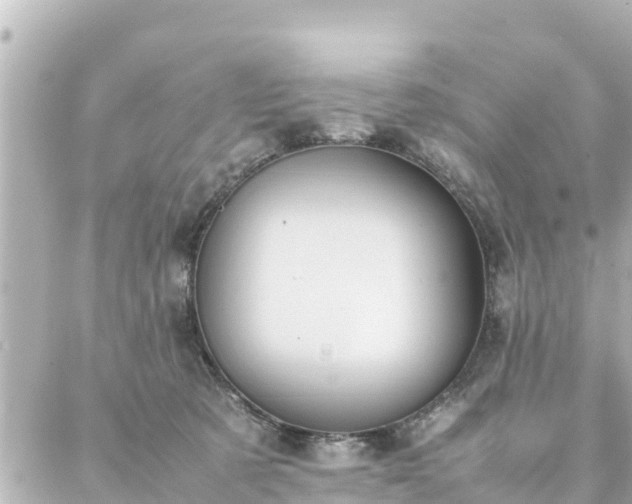 X0000086990321200704231851