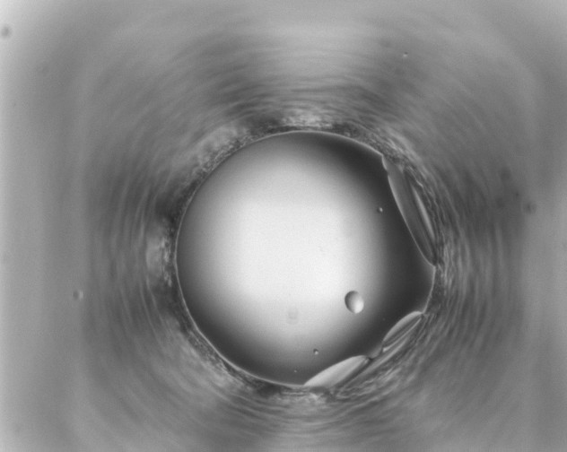 X0000086990322200704231851