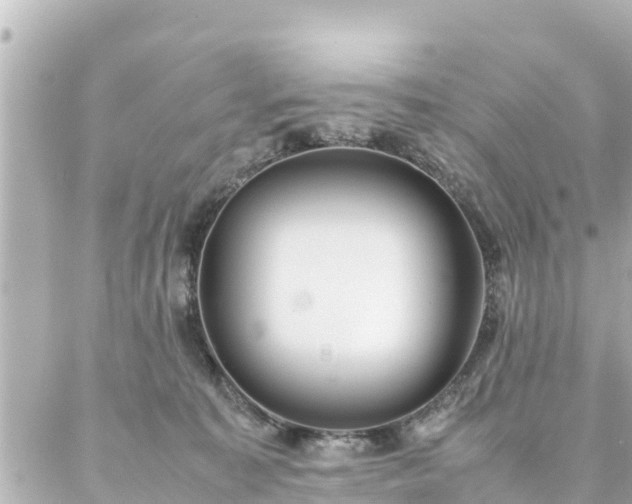 X0000086990323200704231851