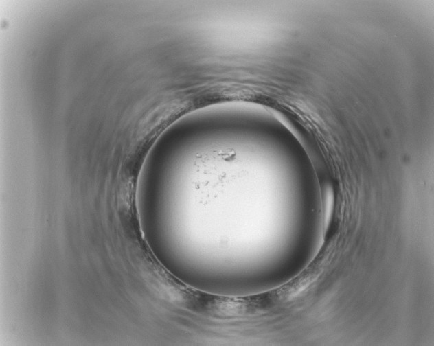 X0000086990325200704231851