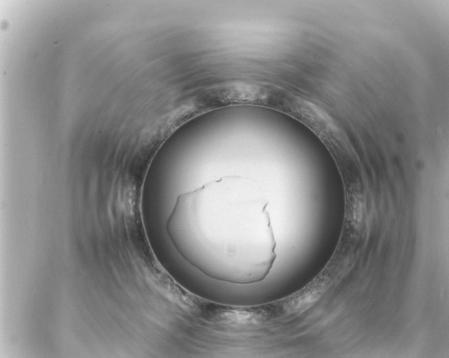 X0000086990326200704231851