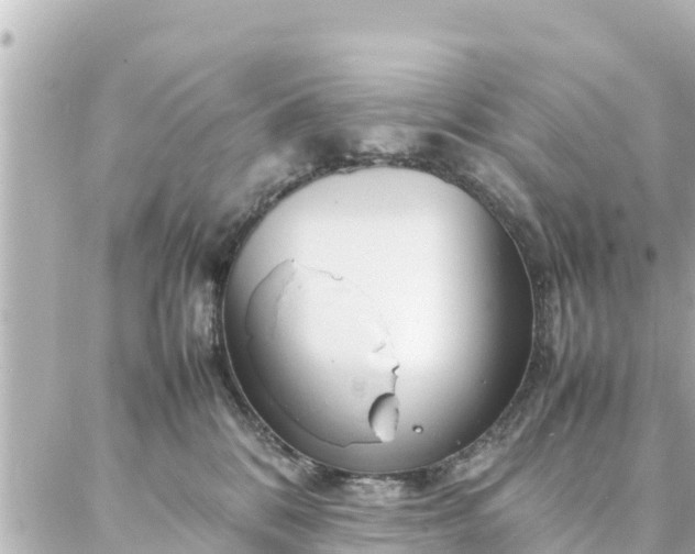 X0000086990328200704231851