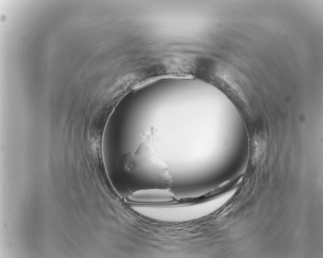 X0000086990329200704231851