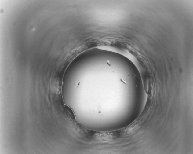 X0000086990331200704231851