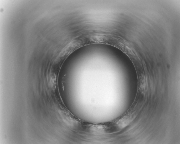 X0000086990332200704231851