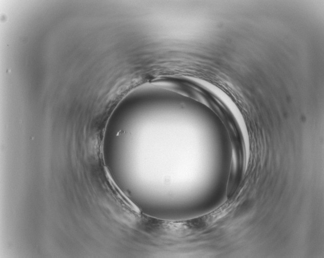 X0000086990333200704231851