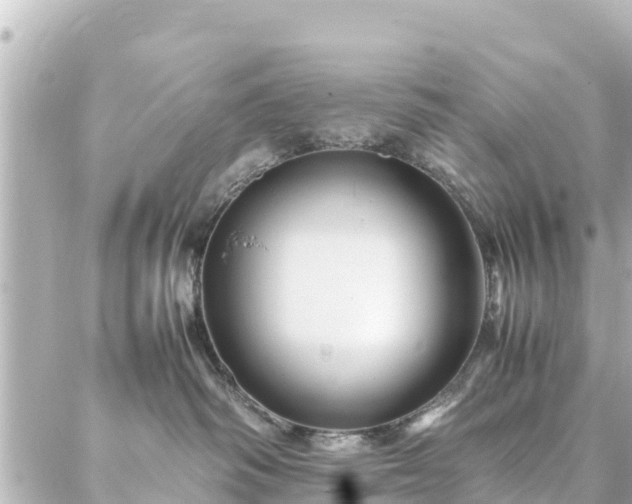 X0000086990334200704231851