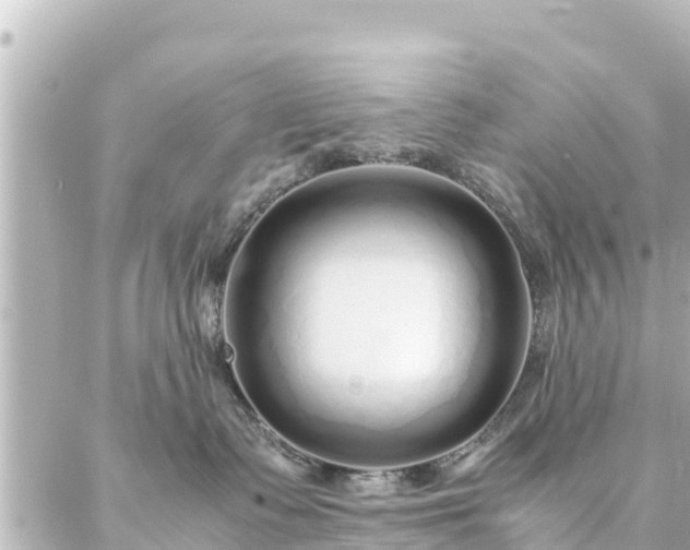 X0000086990335200704231851