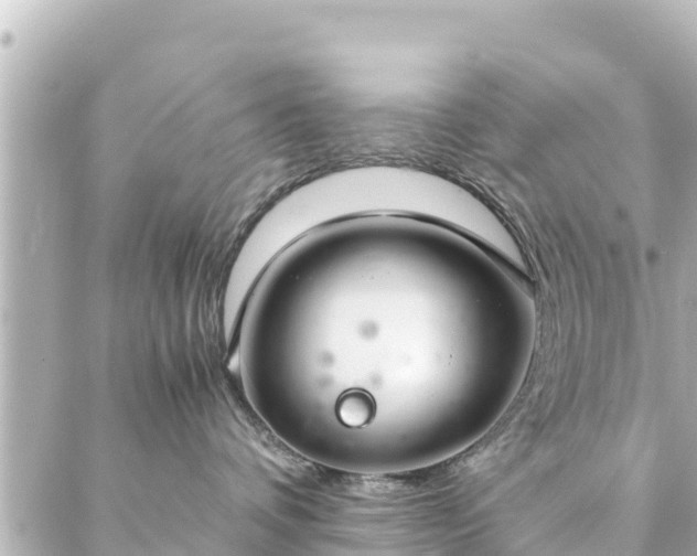 X0000086990336200704231851