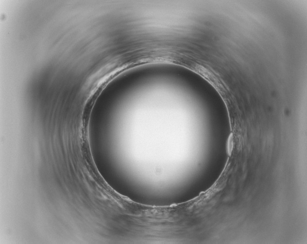 X0000086990338200704231850