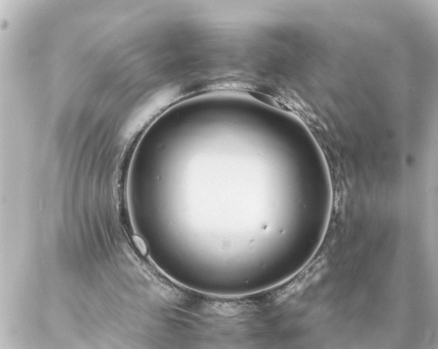 X0000086990341200704231850