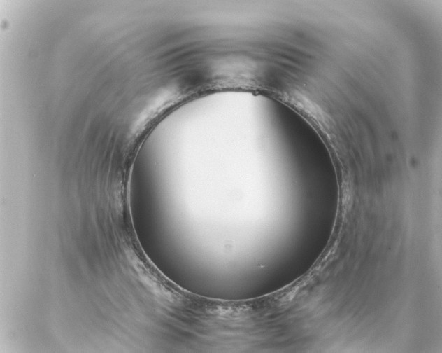 X0000086990345200704231850