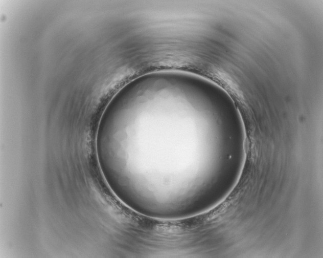 X0000086990354200704231850