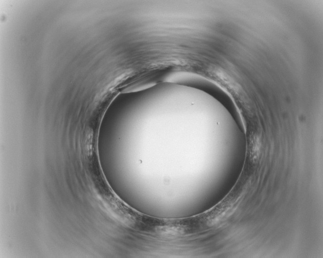 X0000086990356200704231850