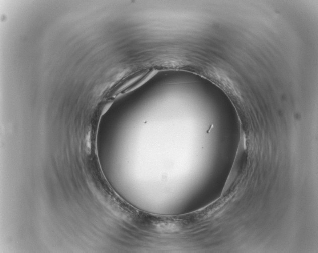 X0000086990358200704231850