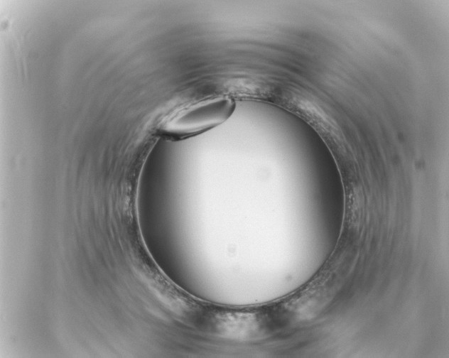 X0000086990361200704231851