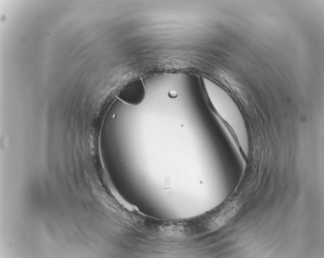 X0000086990362200704231851