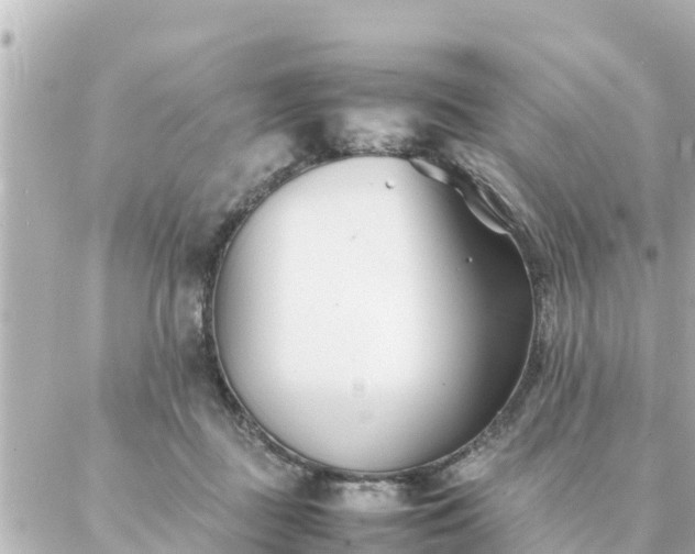 X0000086990363200704231851