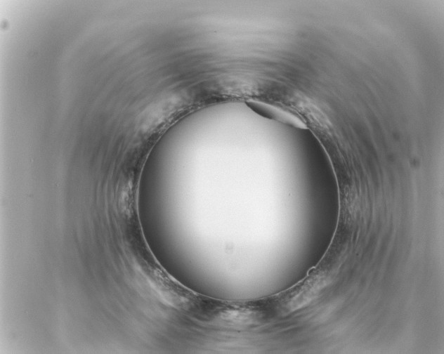 X0000086990364200704231851